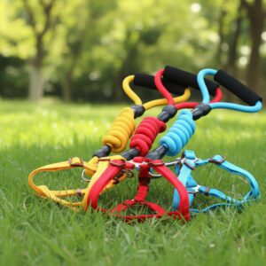 ComfortHarness Set – Nylon Hundegeschirr + Führleine (1,20 m)