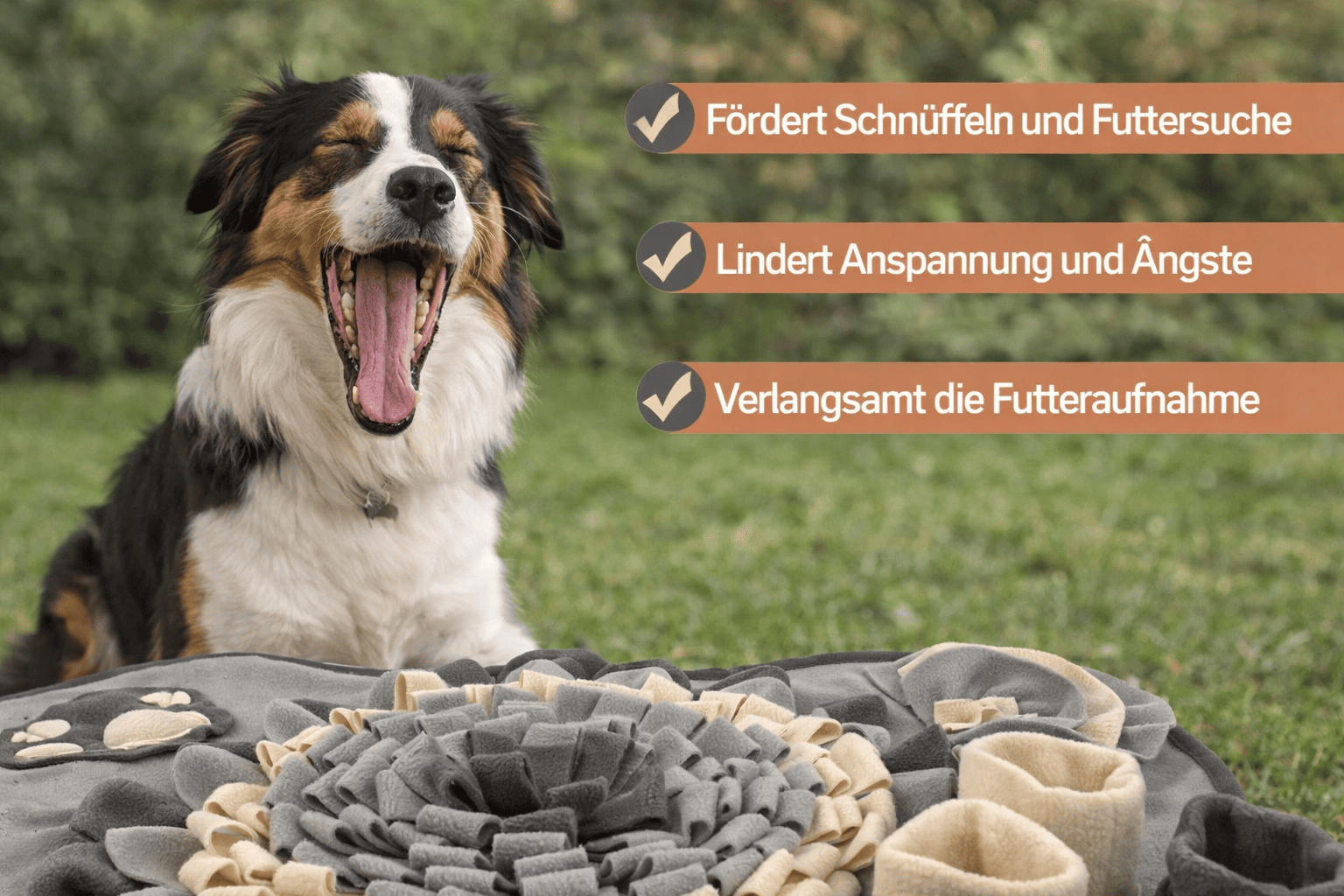 SniffMat – Schnüffelmatte & Slow-Feeding-Spielzeug für Hunde – Bild 4