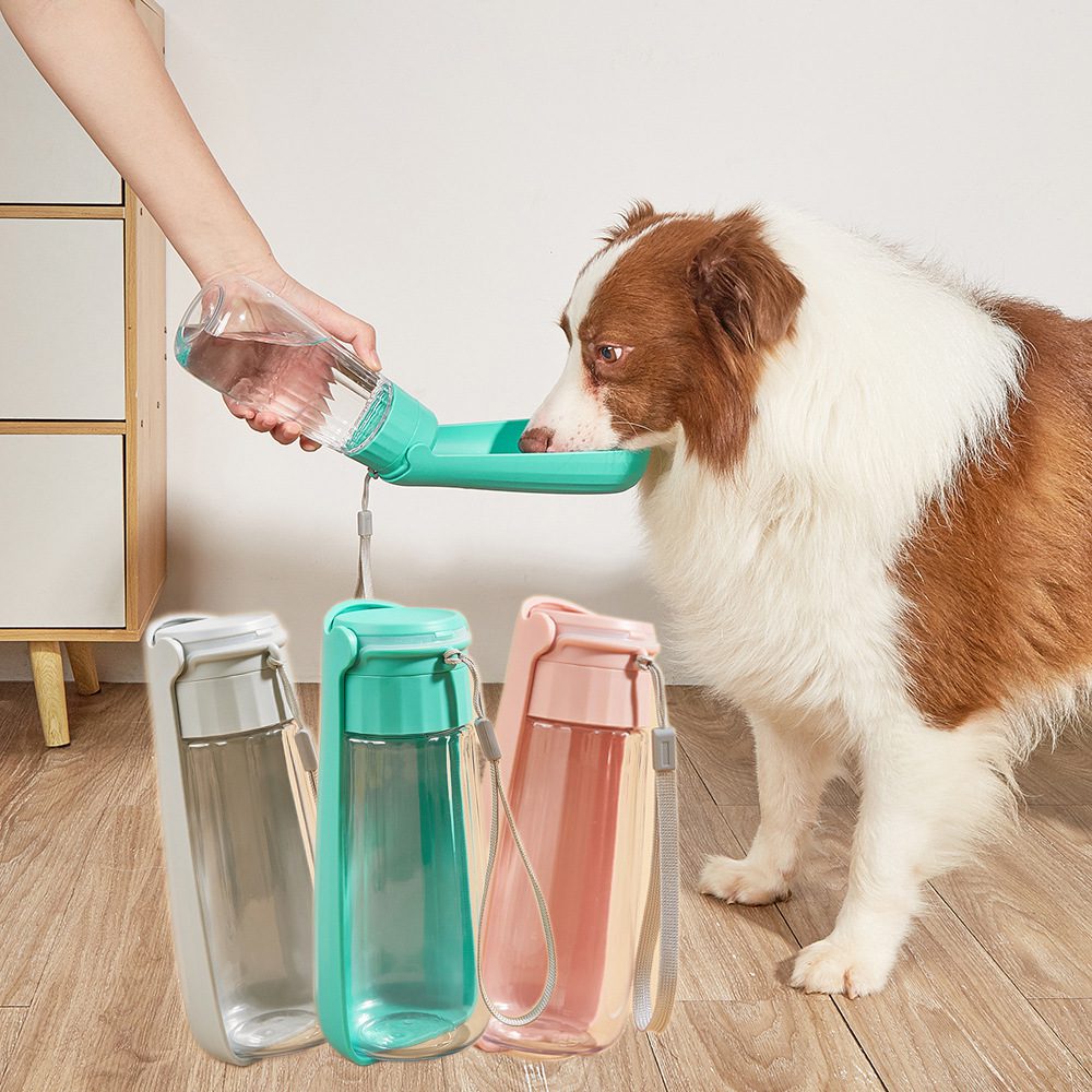 Pawvero AquaTrail – Tragbare Trinkflasche für Hunde, klappbarer Napf – Bild 2