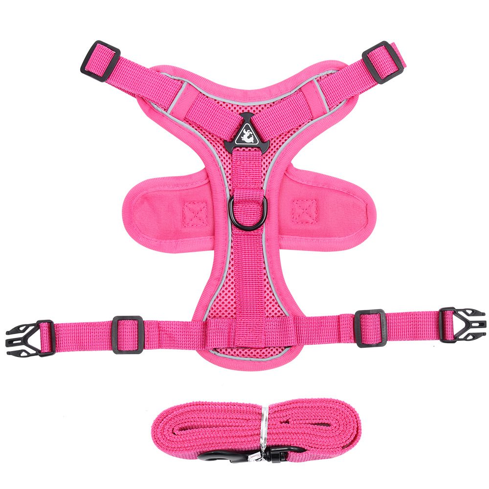 Silk Collar Cat - Reflektierendes, Atmungsaktives Geschirr Set für Katzen – Bild 10