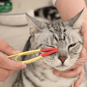 Pawvero TearWipe – Augenreiniger-Clip für Katzen & Hunde, weiche Bürste